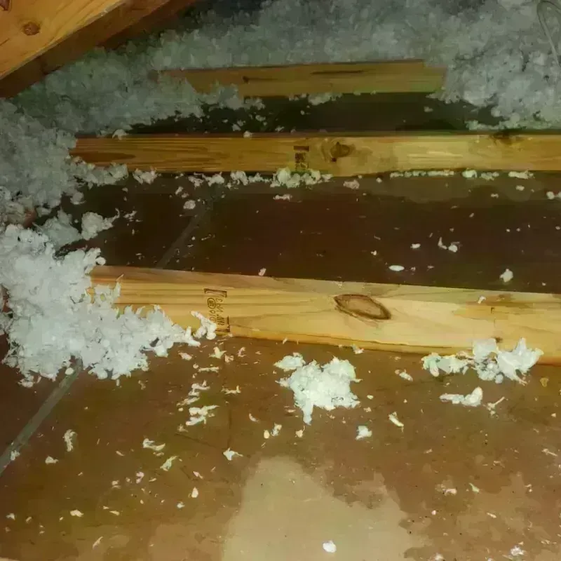 Attic Water Damage in Walnut Grove, CA